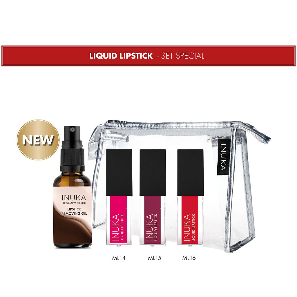 Liquid Lipstick - All 5 Set Special (Lipstick Removing Oil,  3 Lipsticks and Cosmetic Bag)